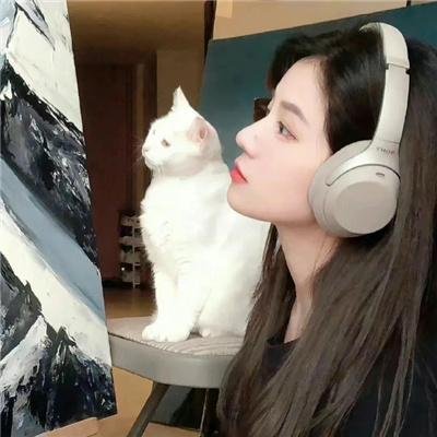 马路对面的房子